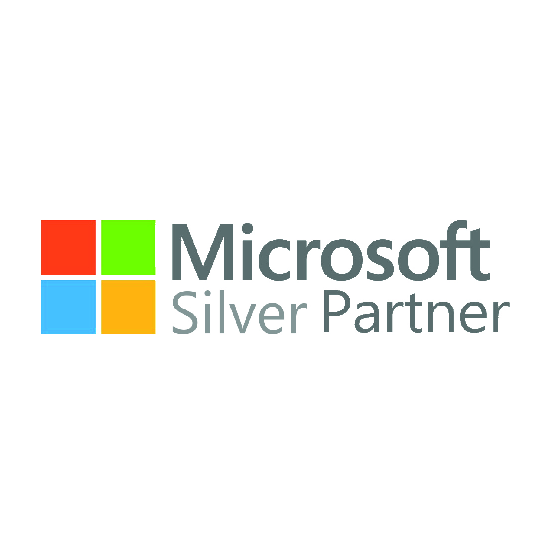 BAYOOTEC Unsere Partner Microsoft Silber Partnerschaft