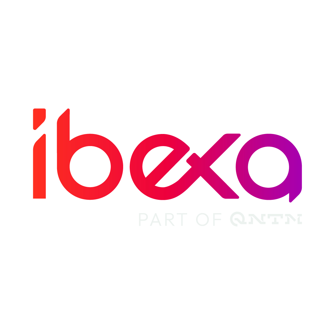 BAYOOTEC Unsere Partner ibexa